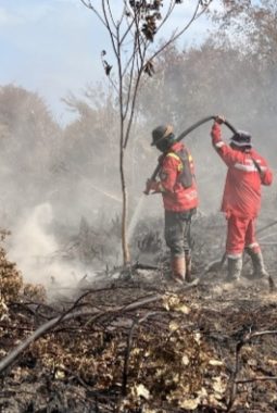 Tim Gabungan Manggala Agni, Terus Berupaya, Padamkan Kebakaran Hutan dan Lahan Di Riau 